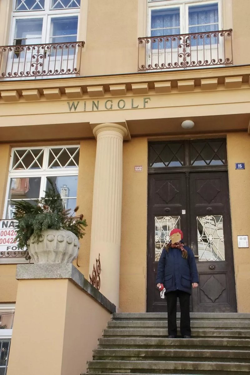 Villa Wingolf