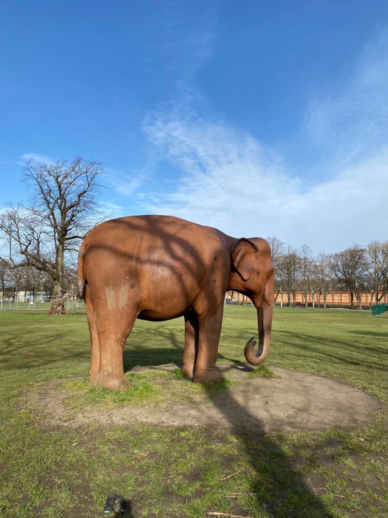 Elephant For Glasgow Statue
