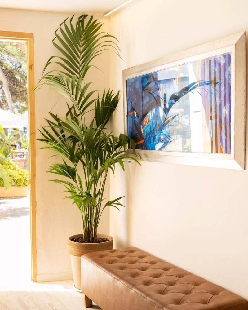 Sitges Beach Hostal
