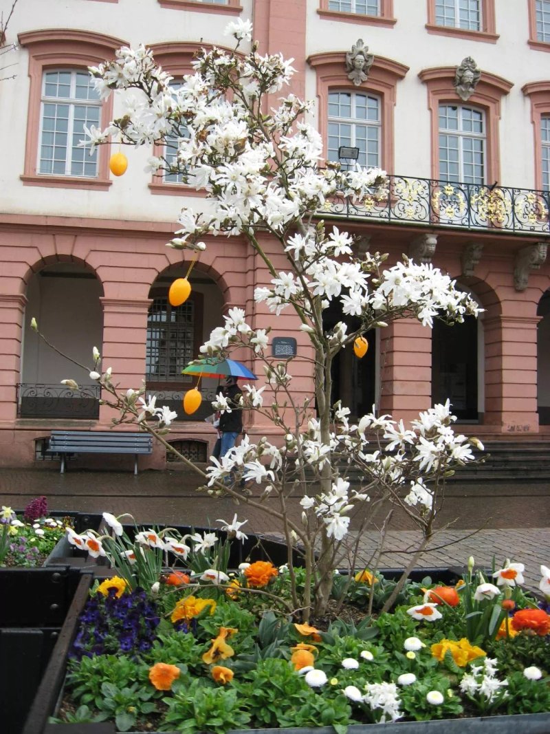 Kettererhof