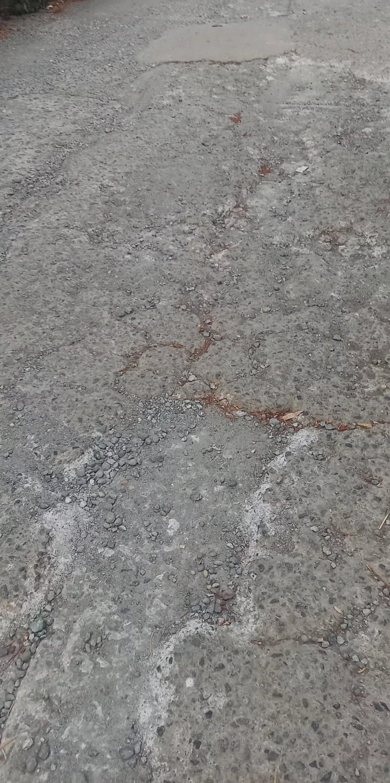 Spiaggia Di Torremezzo Di Falconara