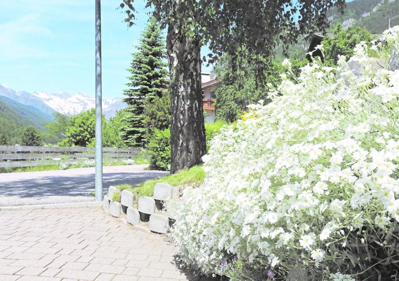Pension Alpenhof