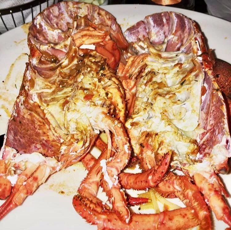 Pyxida Oyster Bar