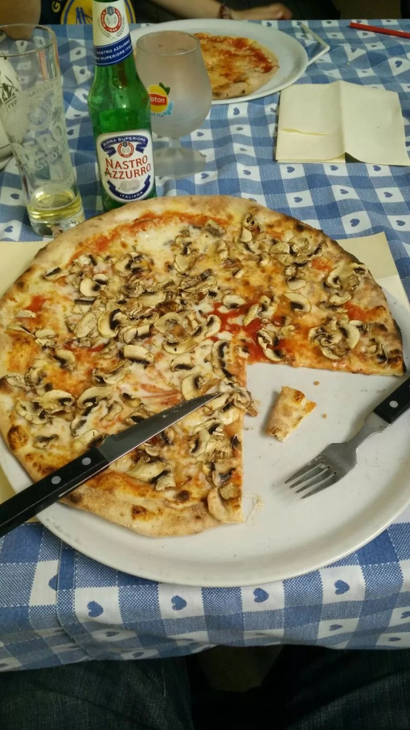 Il Pappagallo