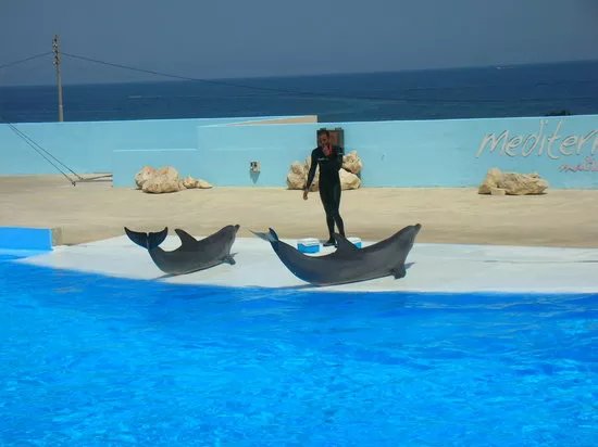 Mediterraneo Marine Park