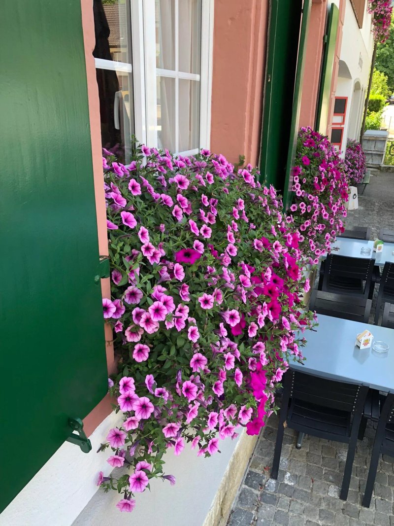 Restaurant und Dorfmetzgerei zur Blume