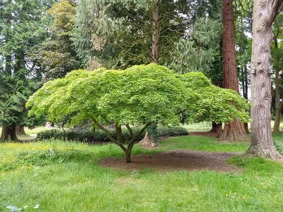 Castle Park