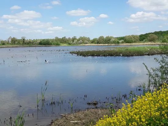 Reserve Ornithologique de Grand-Laviers