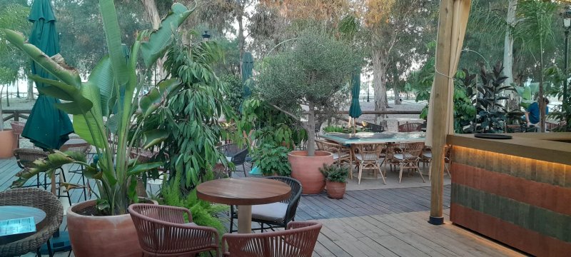 La Canaliega (el Rocio)