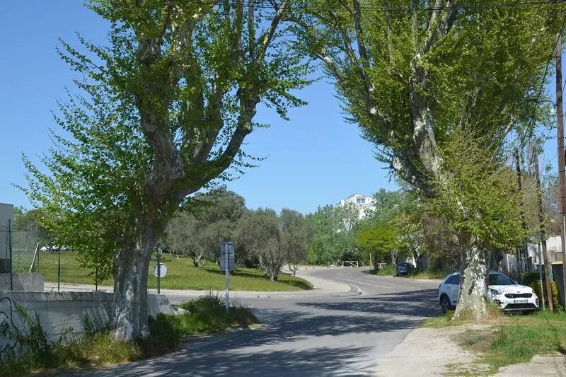 Le Mas Sivan stay in Arles for 2 to 6 people wifi air conditioning parking