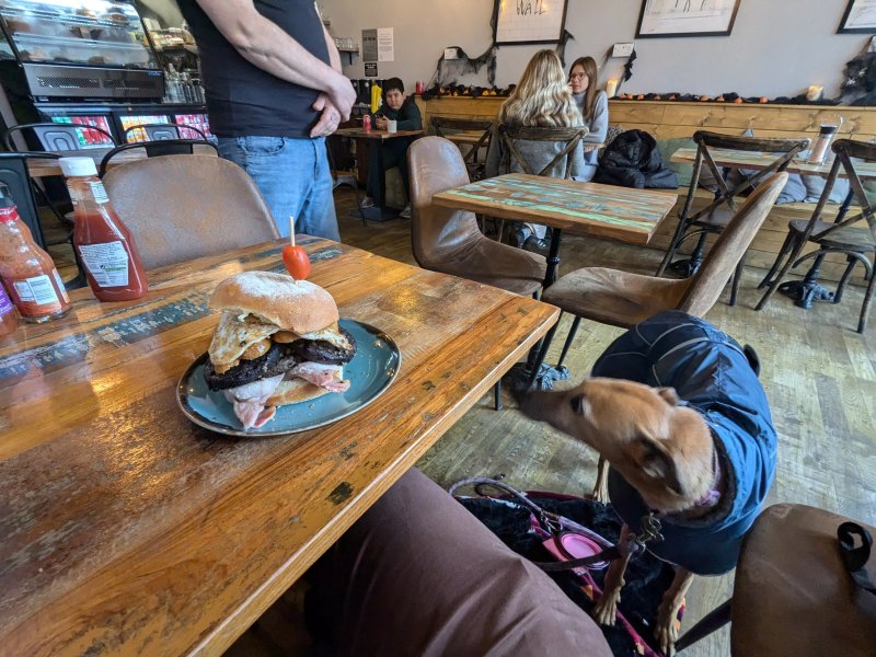 The Foodies Bistro