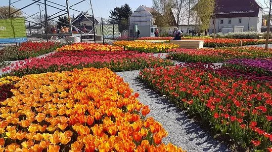 Landesgartenschau