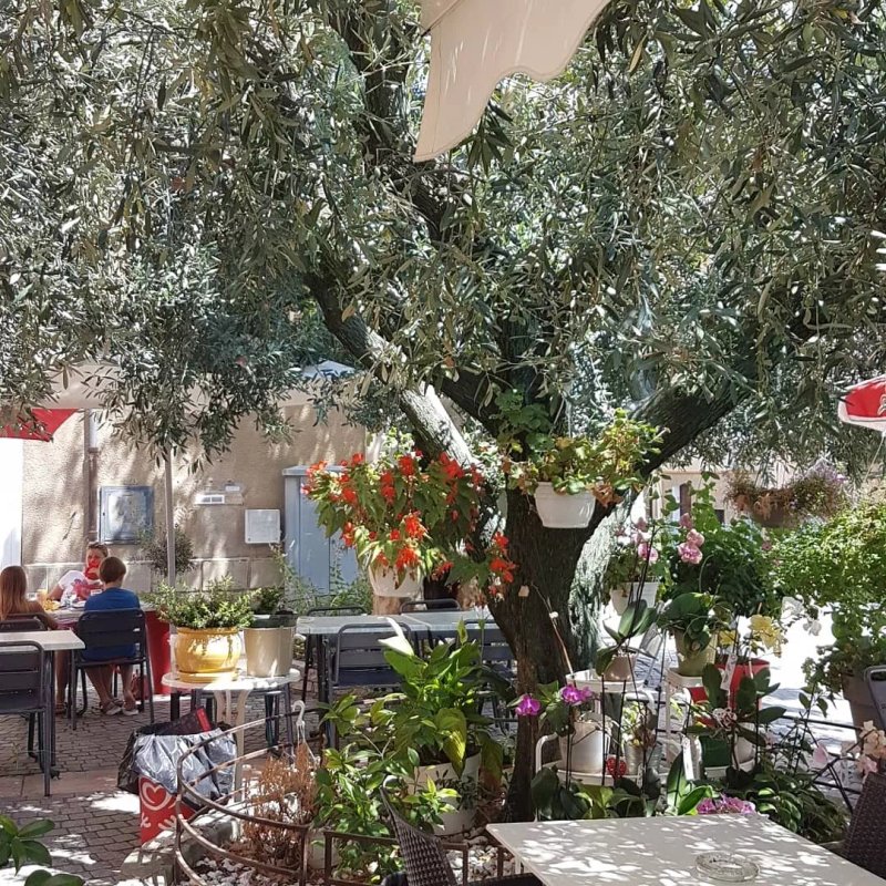 Bar Des Sports