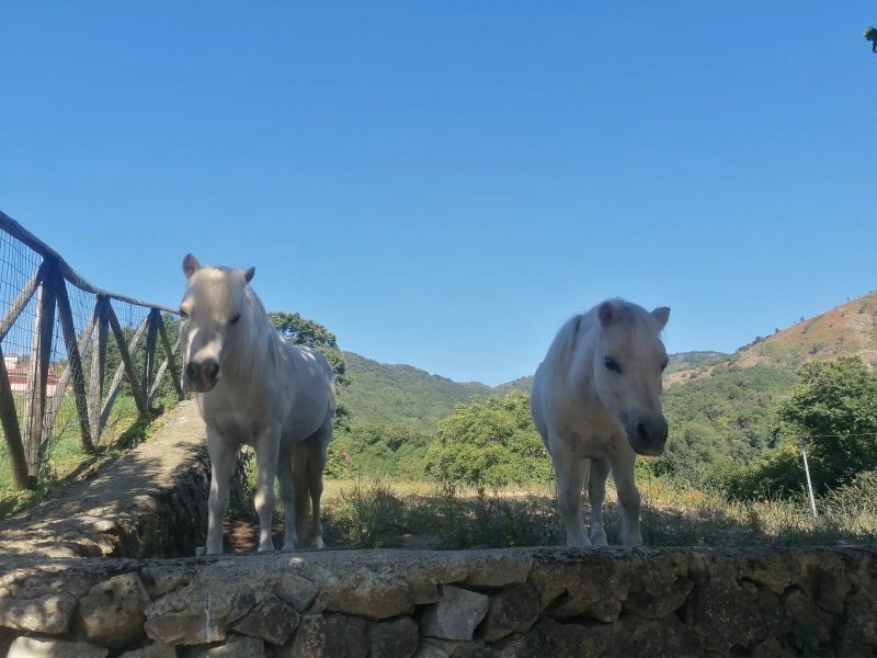 Villapiana Country House