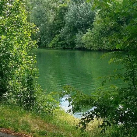 Wohrder Wiese