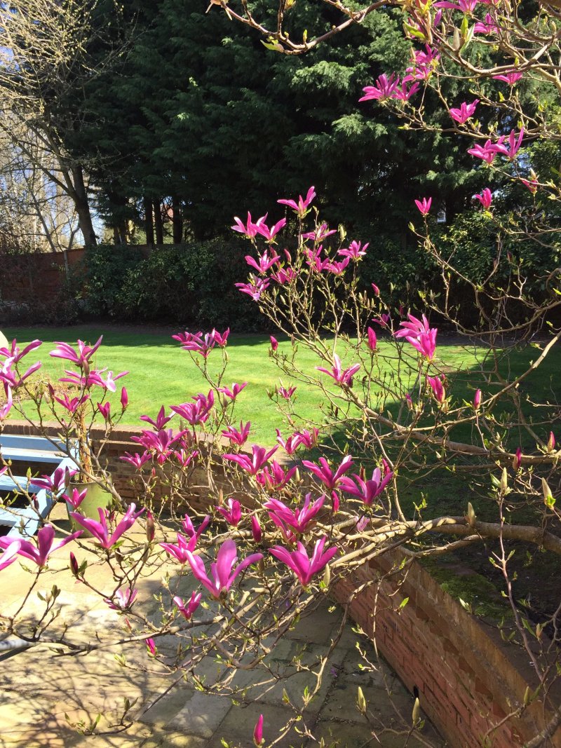 Riseden Bed & Breakfast