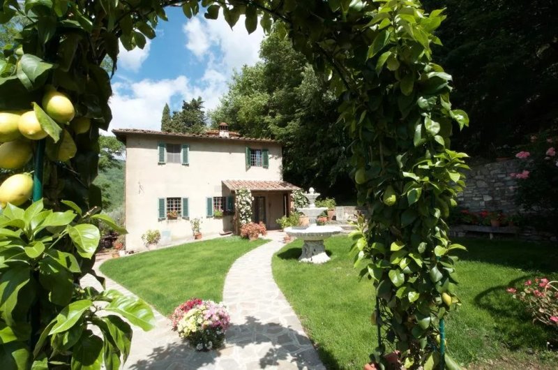 Agriturismo Podere Vicoferaldi