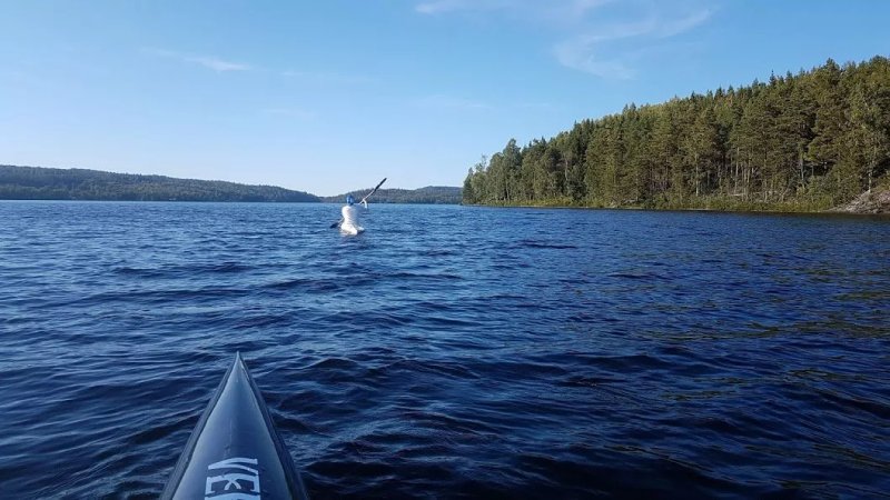 Högsbyns Fritidscenter, Camping & Stugor