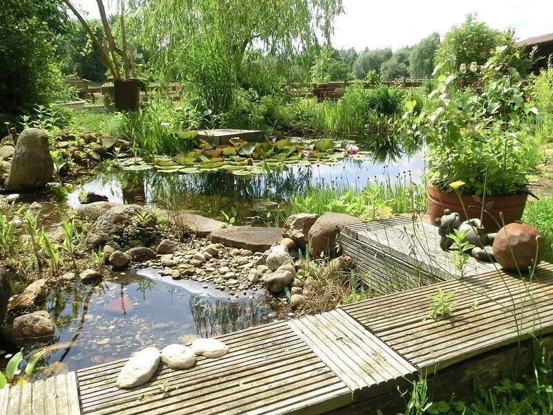 The holiday home (ranch house) on the Aller with sun terraces and panoramic