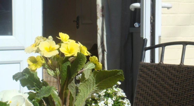 Harlequin Guest House
