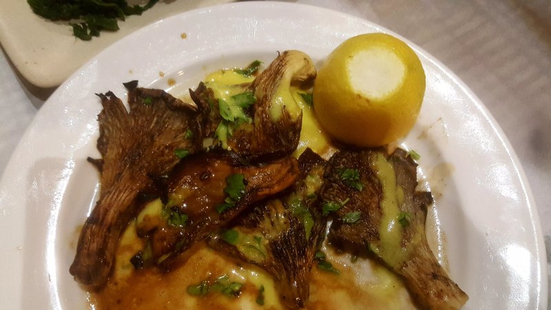 Taverna Katogi