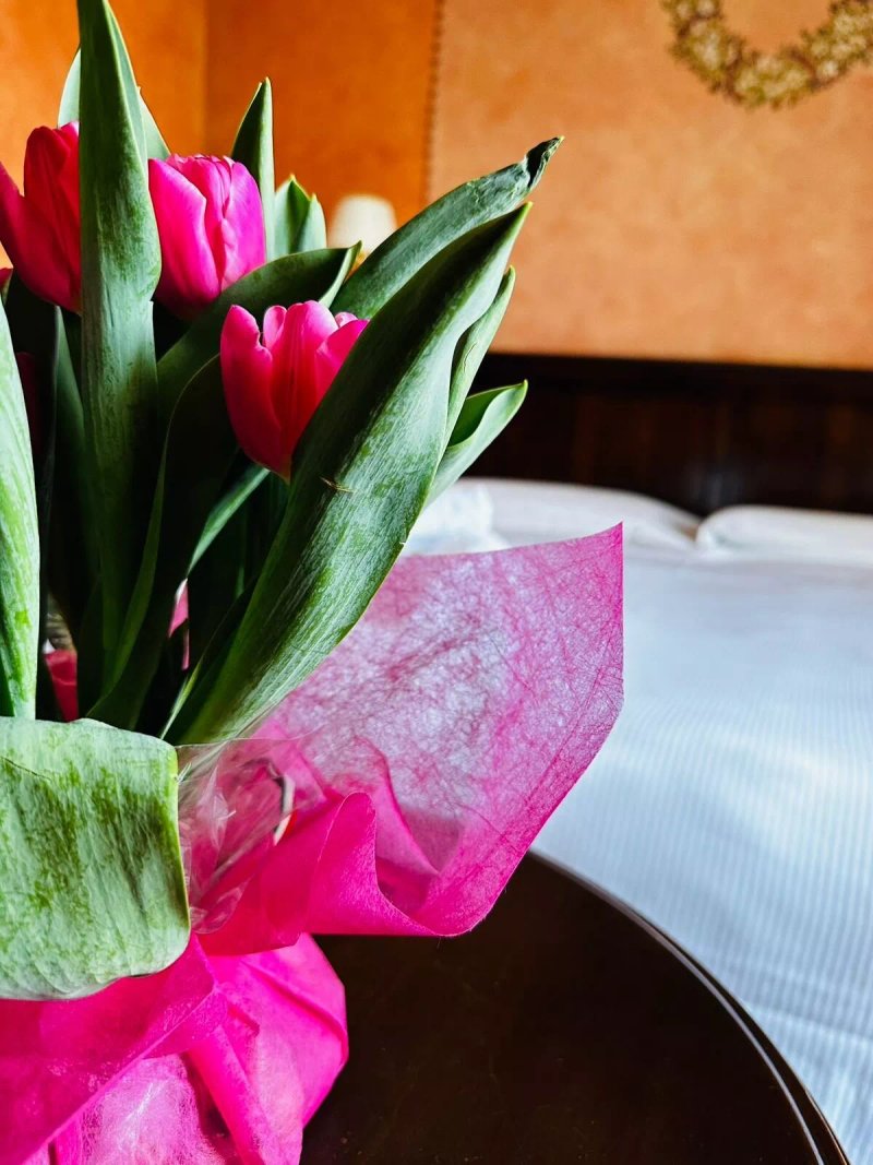 Hotel Lugana Parco al Lago