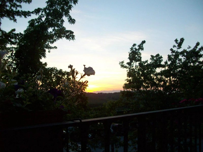 Agriturismo Costa dei Tigli