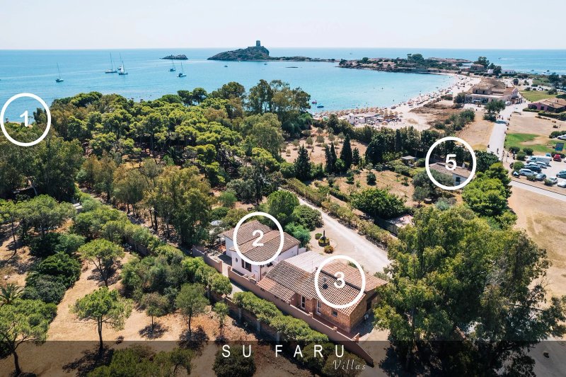 Su Faru