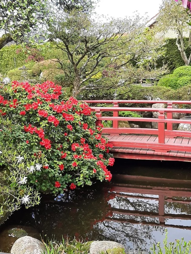 Den Japanske Have Bed & Breakfast