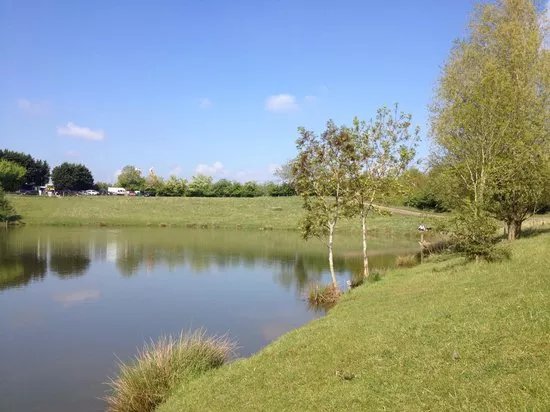 Meadowlands Fishery