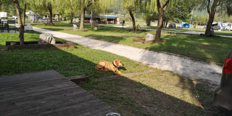 Kamp Park Lijak