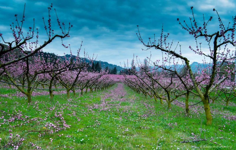 Agriturismo La Marletta