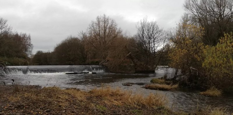 Kirkstall Valley Nature Reserve
