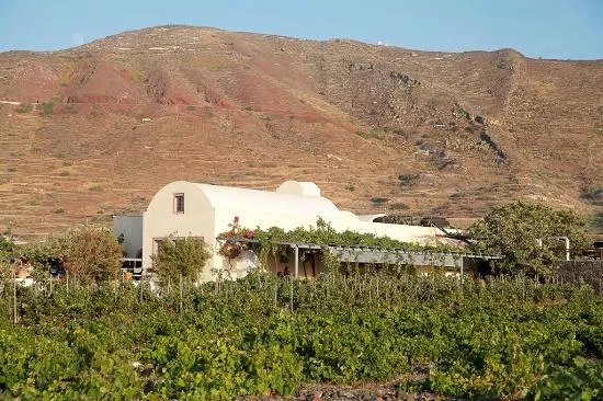 Domaine Sigalas