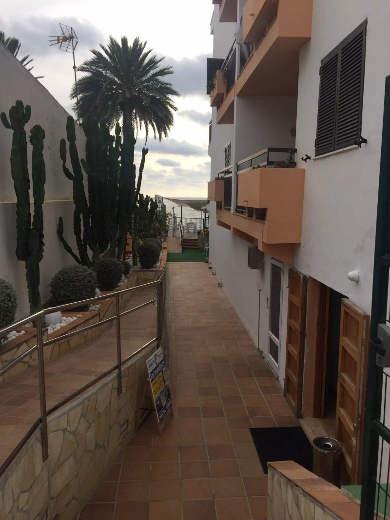 Apartments  Llevant