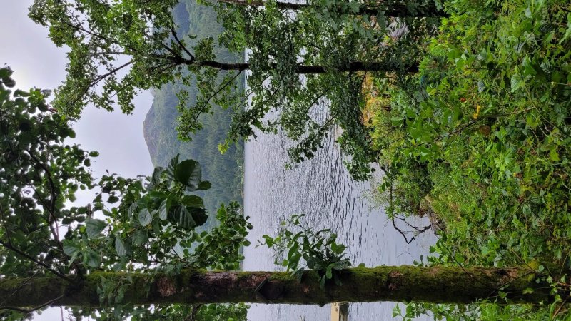 The Boatshed