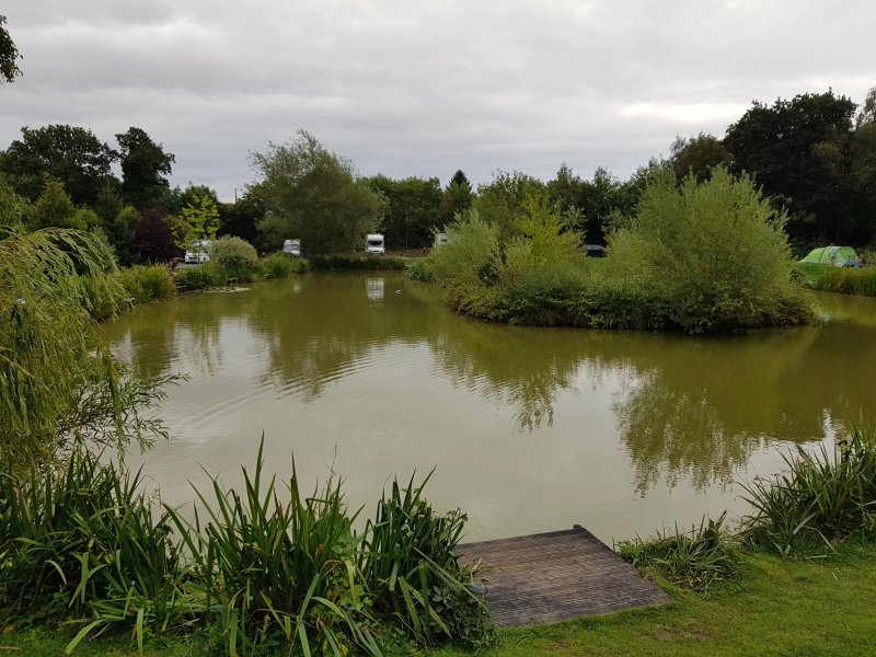 Springwood Fisheries