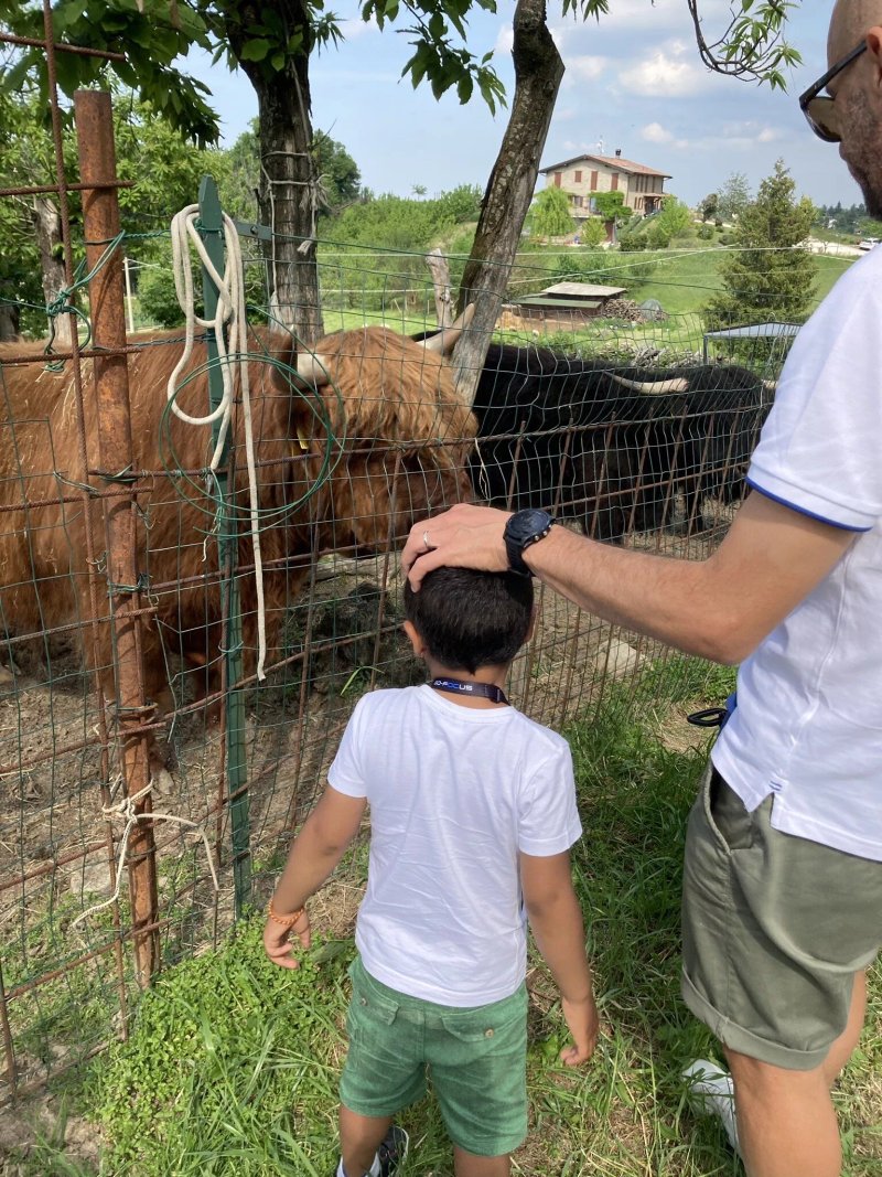 Agriturismo La Civetta
