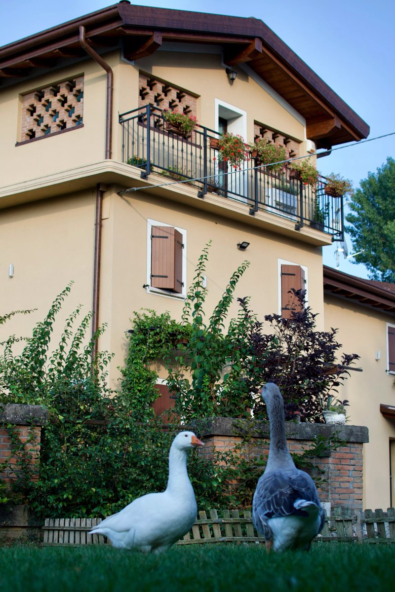 La Casa Sul Fiume