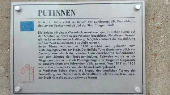 Putinnen