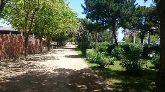 Parque de la Nova Icaria