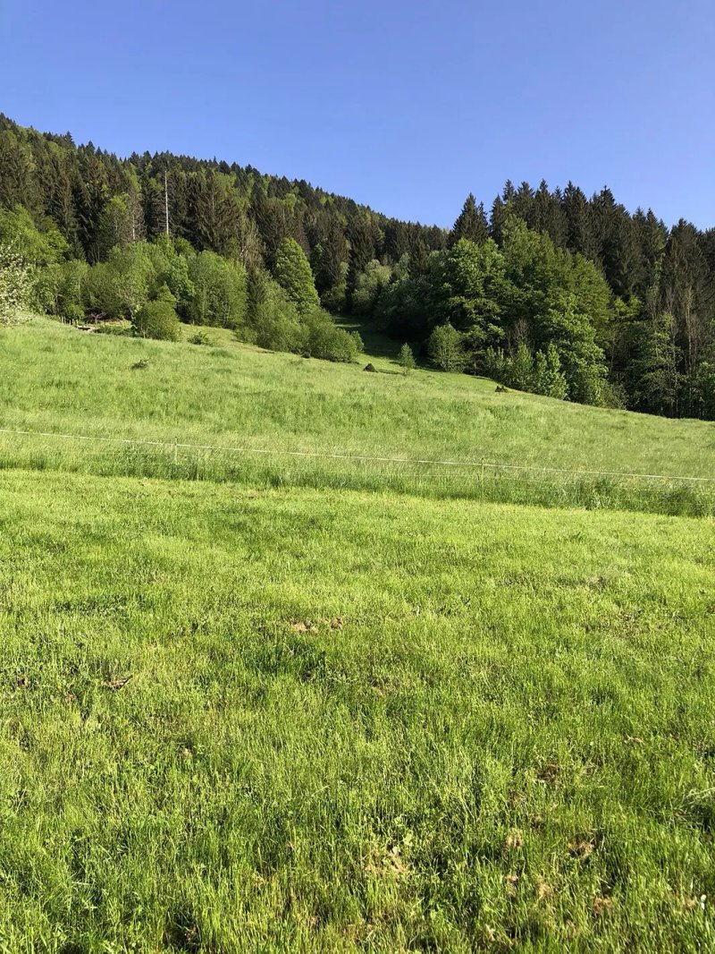 Le Telemark