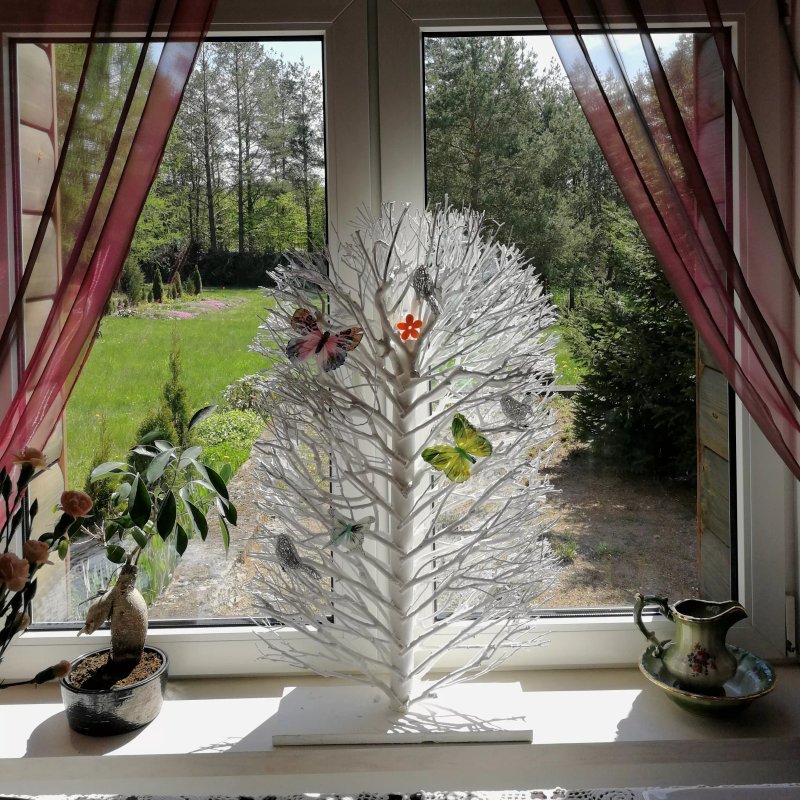 Zielony Zakatek Guest House