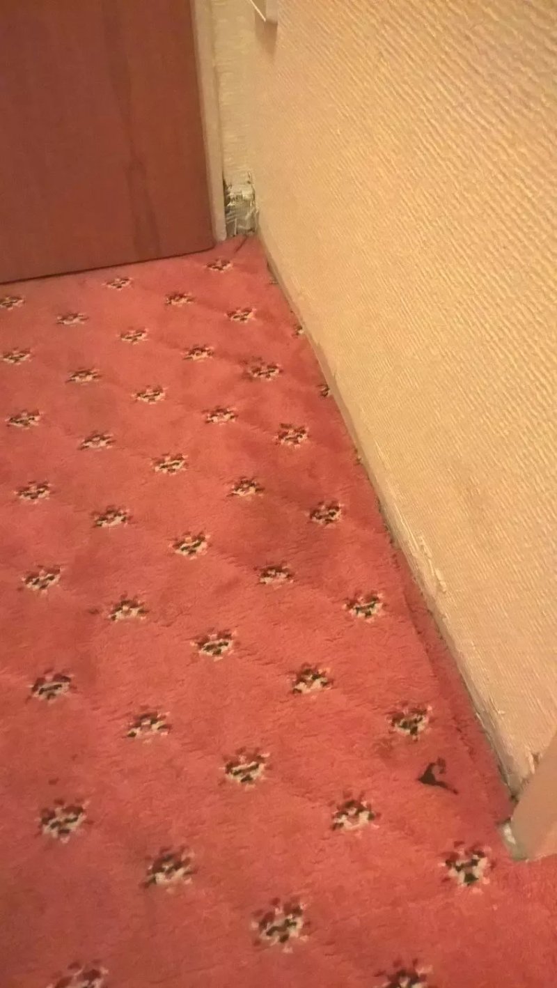 Abakus Hotel
