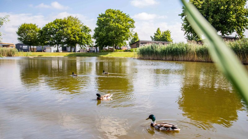 TopParken - Recreatiepark het Esmeer