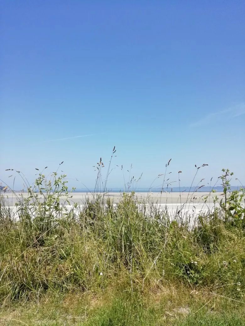 Camping Du Fond De La Baie