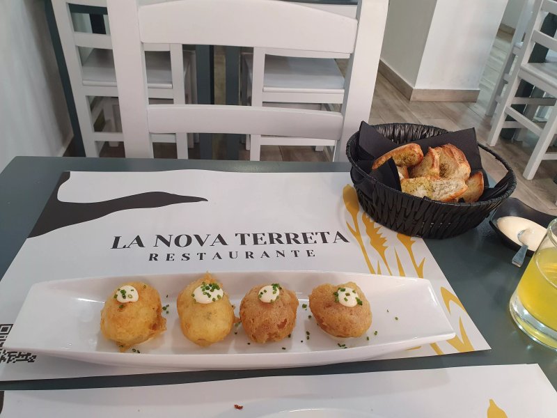 La Nova Terreta