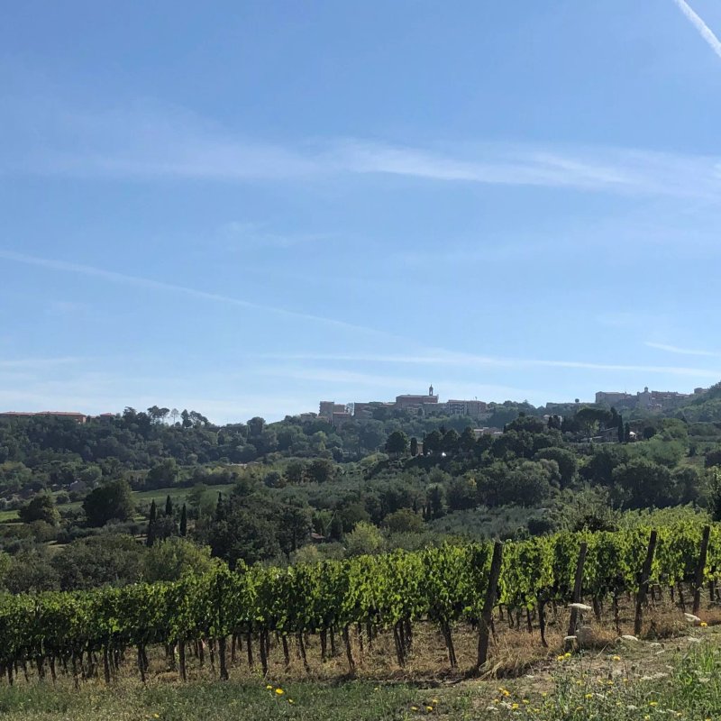 Agriturismo San Gallo