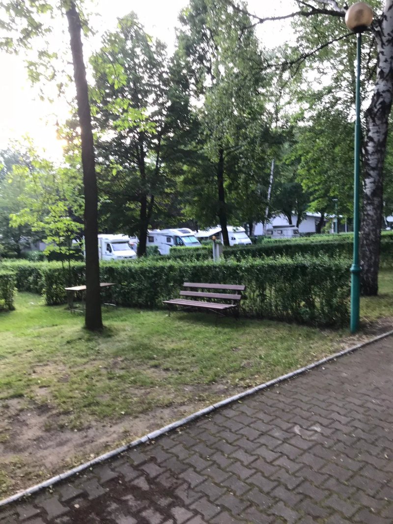 Camping 215