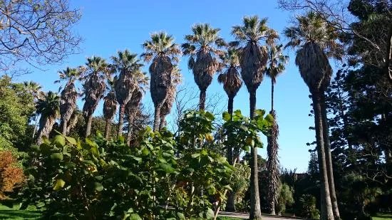 Jardim Botanico Tropical